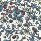 ���̑��̉摜