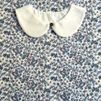 ���̑��̉摜