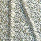 ���̑��̉摜