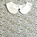 ���̑��̉摜