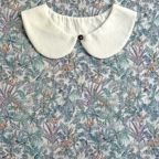 ���̑��̉摜