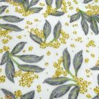 ���̑��̉摜