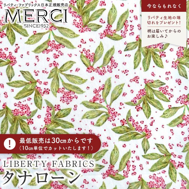 ���̑��̉摜