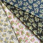 ���̑��̉摜