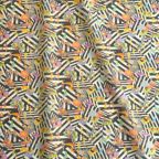 ���̑��̉摜