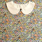 ���̑��̉摜