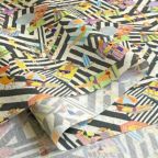 ���̑��̉摜