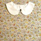 ���̑��̉摜