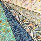 ���̑��̉摜