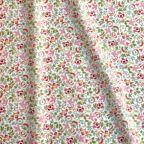 ���̑��̉摜