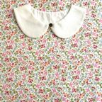 ���̑��̉摜