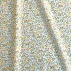 ���̑��̉摜