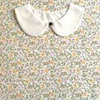 ���̑��̉摜