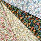 ���̑��̉摜