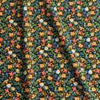 ���̑��̉摜