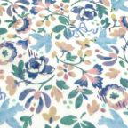 ���̑��̉摜