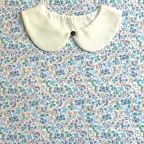 ���̑��̉摜