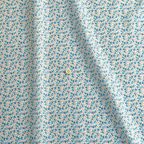 ���̑��̉摜