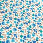 ���̑��̉摜