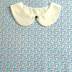 ���̑��̉摜