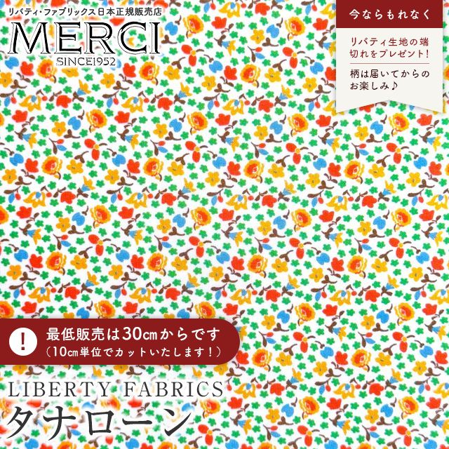 ���̑��̉摜