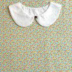 ���̑��̉摜