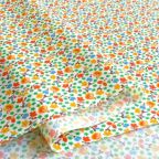 ���̑��̉摜