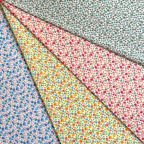 ���̑��̉摜