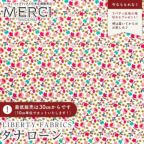 ���̑��̉摜