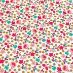 ���̑��̉摜