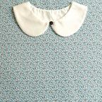 ���̑��̉摜