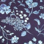 ���̑��̉摜