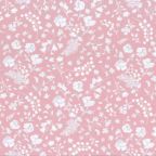 ���̑��̉摜