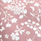 ���̑��̉摜