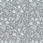 ���̑��̉摜