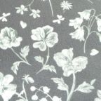 ���̑��̉摜