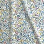 ���̑��̉摜