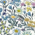 ���̑��̉摜