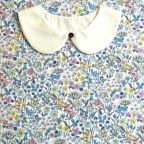 ���̑��̉摜