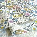 ���̑��̉摜