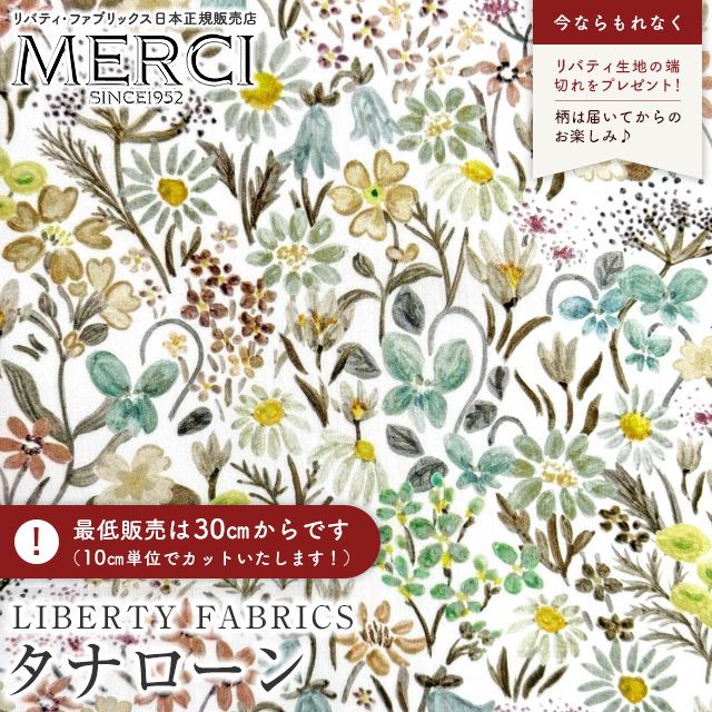 ���̑��̉摜