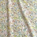 ���̑��̉摜