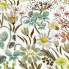 ���̑��̉摜