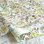 ���̑��̉摜