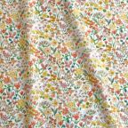 ���̑��̉摜