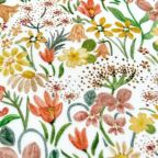 ���̑��̉摜