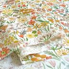 ���̑��̉摜