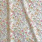 ���̑��̉摜