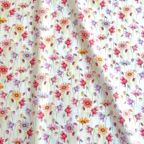 ���̑��̉摜