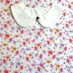 ���̑��̉摜